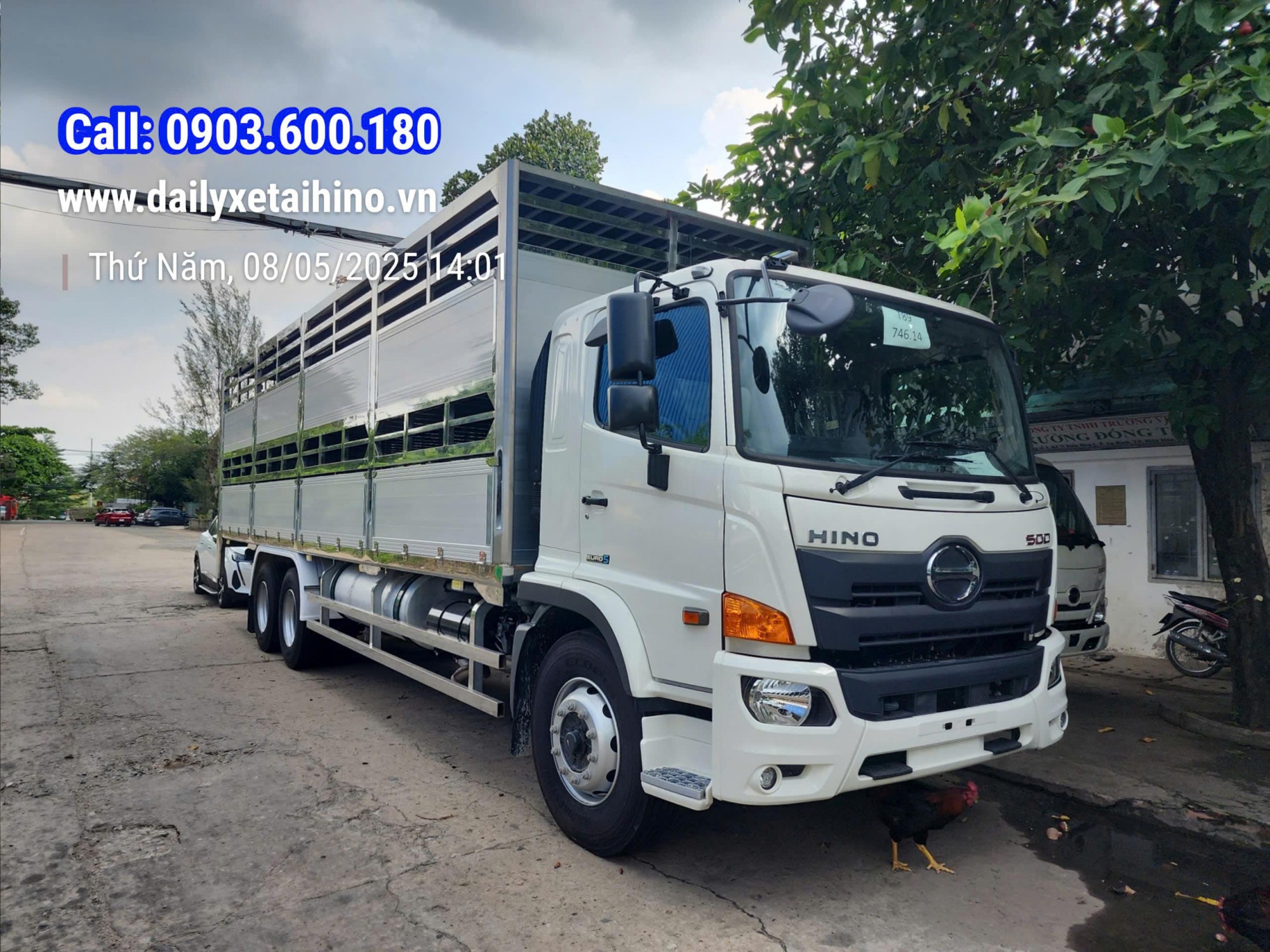 Hino 15 tấn FM  thùng chở Heo 